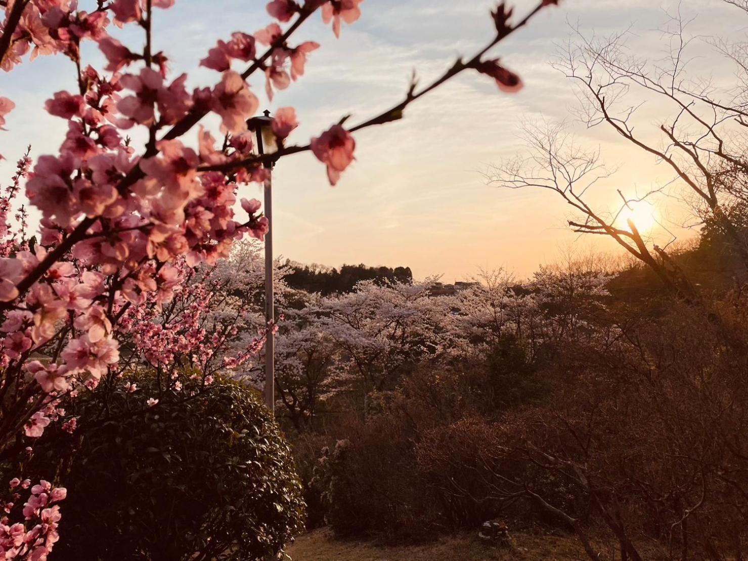 Granping ng が mi no Du Hotel Nakacugava Kültér fotó